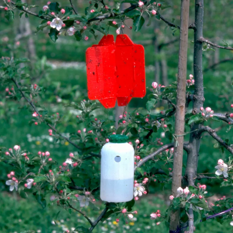 Bouteilles Rebell® rosso - Piège chromatique