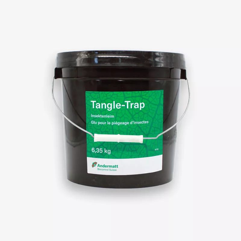 Tangle-Trap glue - Piège chromatique