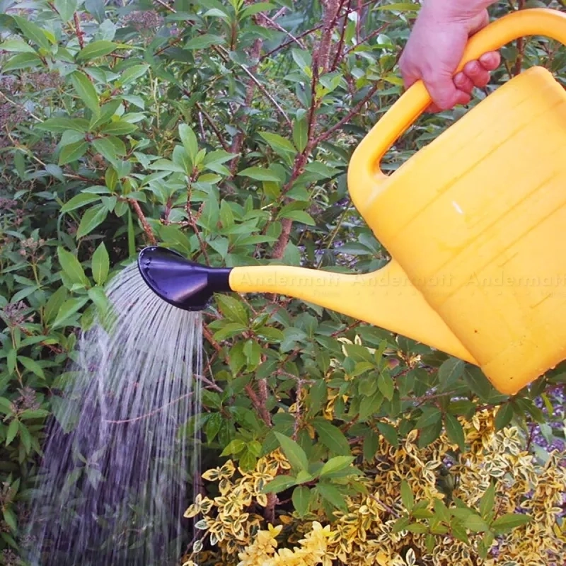 Nématodes pour Arbres Fruitiers 50M