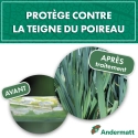 kit_pheromone_teigne_poireau_andermatt_france