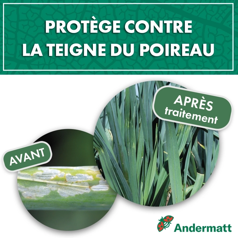 kit_pheromone_teigne_poireau_andermatt_france