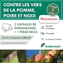 Kit Phéromone Carpocapse des pommes Andermatt