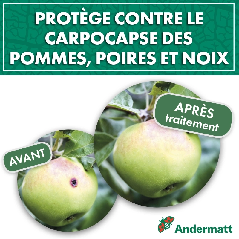 Kit Phéromone Carpocapse des pommes Andermatt