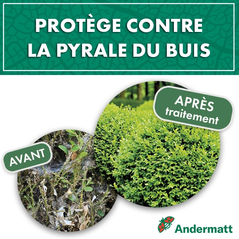 kit_pheromone_pyrale_du_buis_andermatt