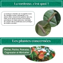 kit_pheromone_tordeuse_orientale_du_pecher_andermatt