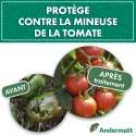 kit_pheromone_mineuse_tomate_piège_delta_andermatt