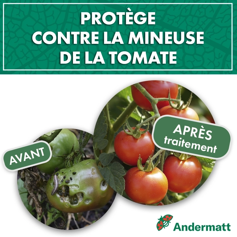 kit_pheromone_mineuse_tomate_piège_delta_andermatt