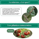 kit_pheromone_mineuse_tomate_piège_delta_andermatt