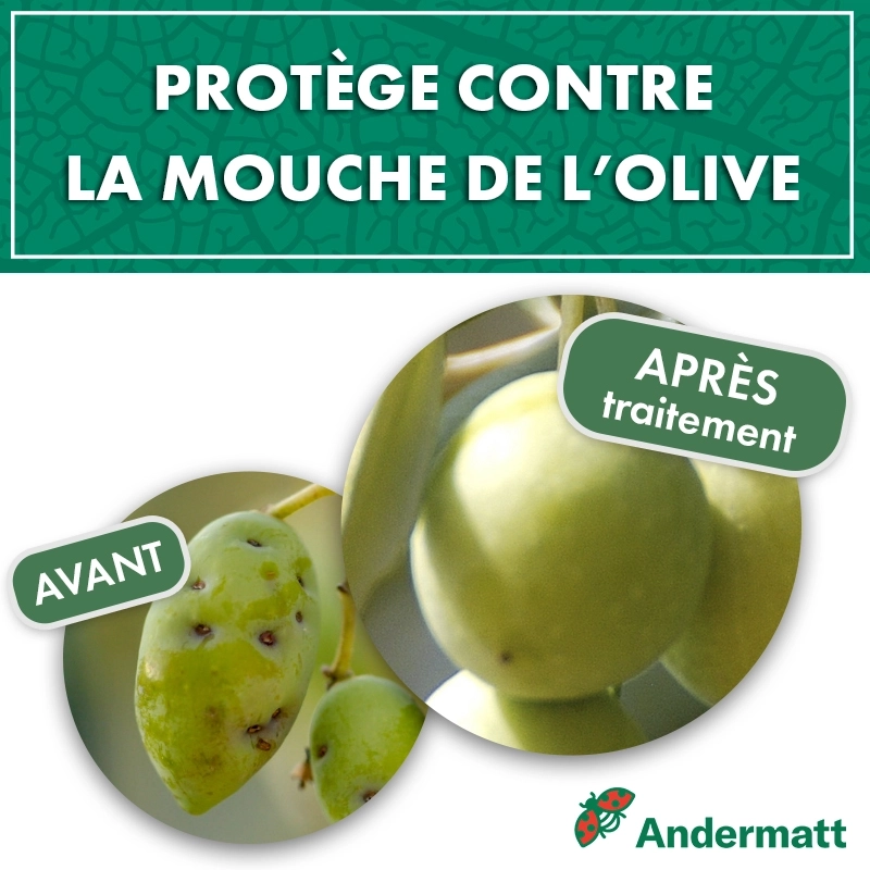 kit_pheromone_mouche_de_l'olive_andermatt