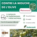 kit_pheromone_mouche_de_l'olive_andermatt