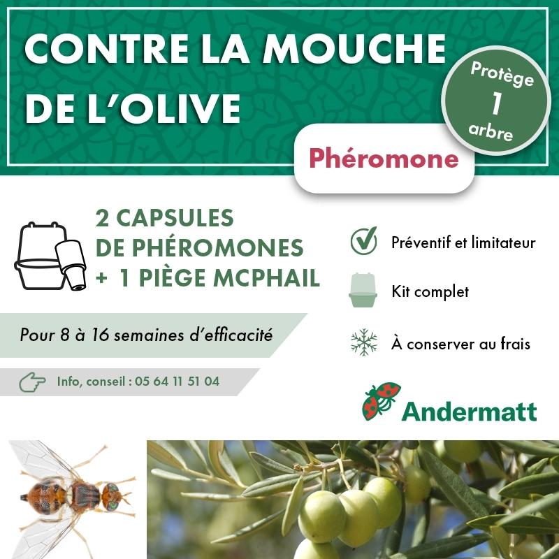kit_pheromone_mouche_de_l'olive_andermatt