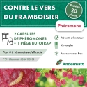 Kit Phéromone Ver du framboisier Andermatt