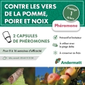 pheromone_carpocapse_des_pommes_andermatt