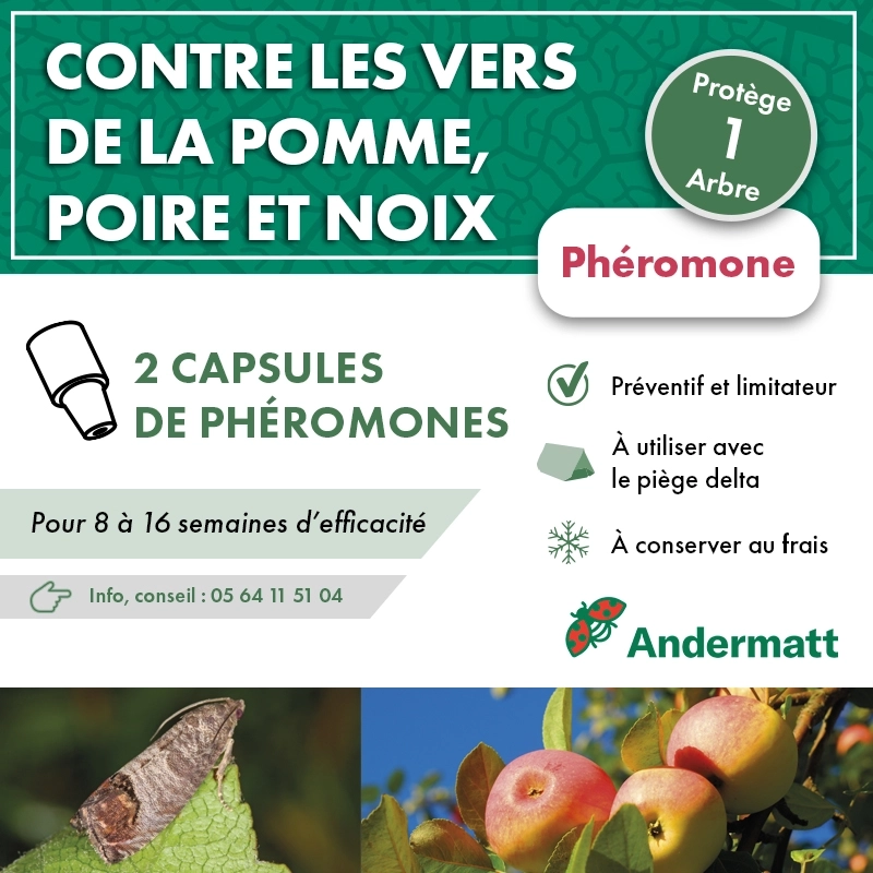 pheromone_carpocapse_des_pommes_andermatt