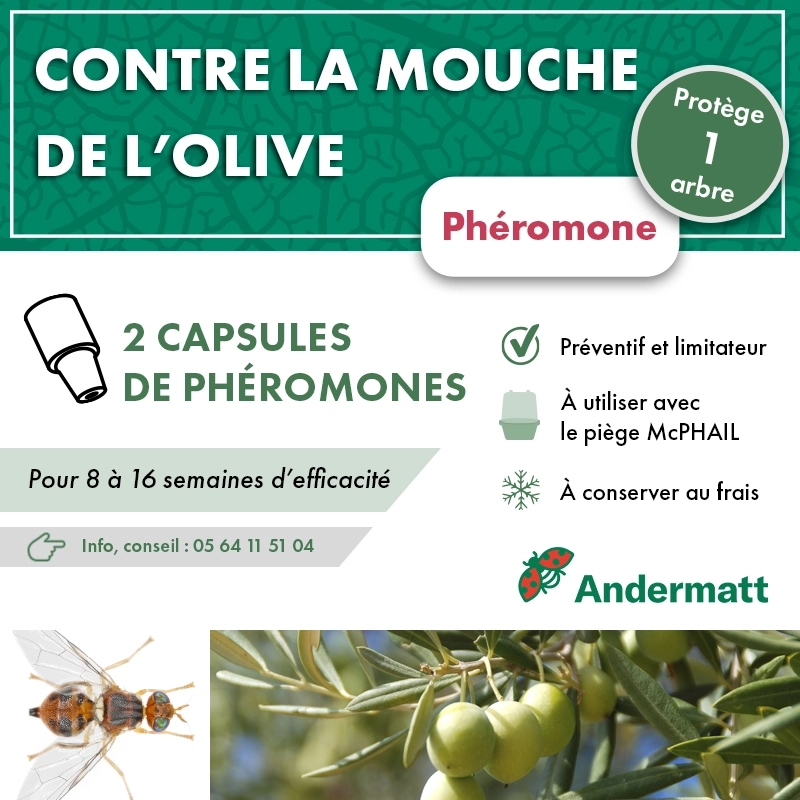 pheromone_mouche_de_l'olive_andermatt