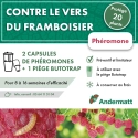 pheromone_ver_du_framboisier_andermatt