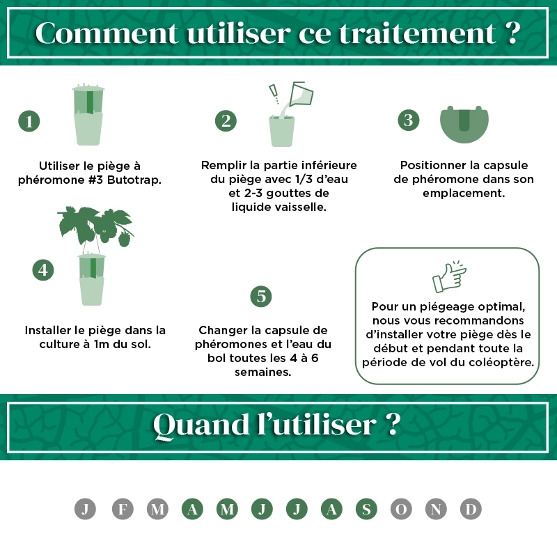 pheromone_ver_du_framboisier_andermatt