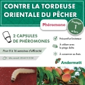 pheromone_tordeuse_orientale_du_pecher_andermatt