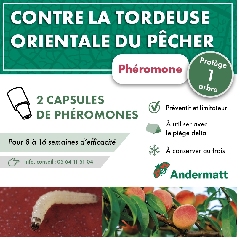 pheromone_tordeuse_orientale_du_pecher_andermatt