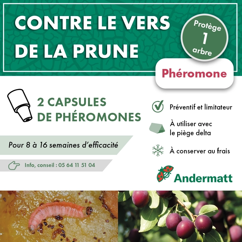 pheromone_carpocapse_des_prunes_andermatt