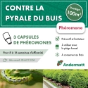 pheromone_pyrale_du_buis_andermatt