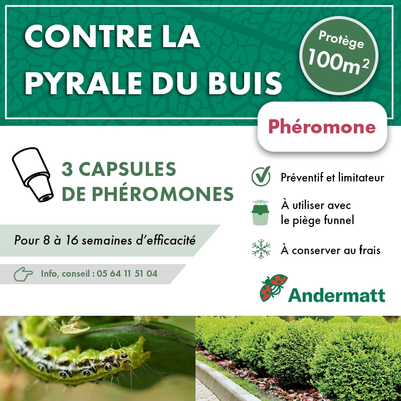 pheromone_pyrale_du_buis_andermatt