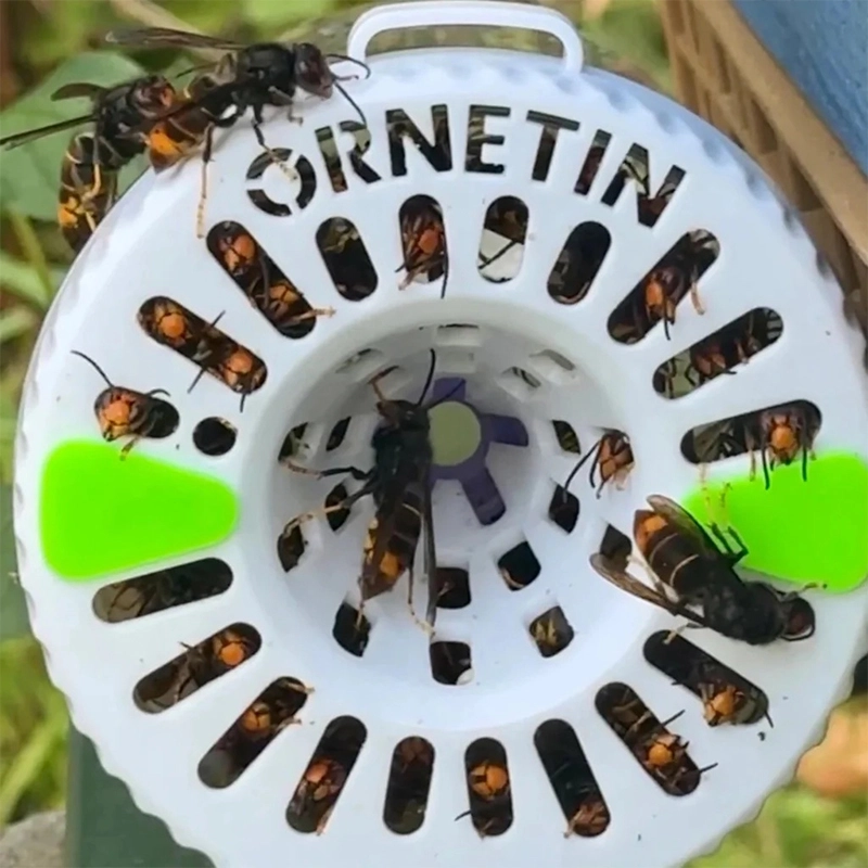 Piège à frelons asiatiques Ornetin UV