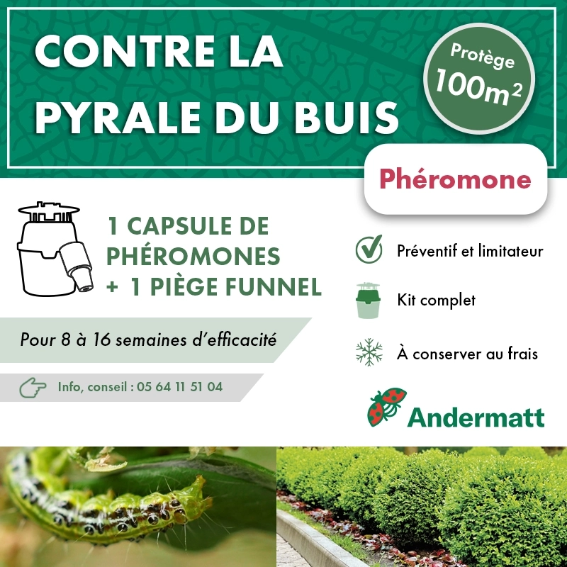 kit_pheromone_pyrale_du_buis_andermatt