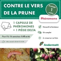 pheromone_carpocapse_des_prunes_andermatt
