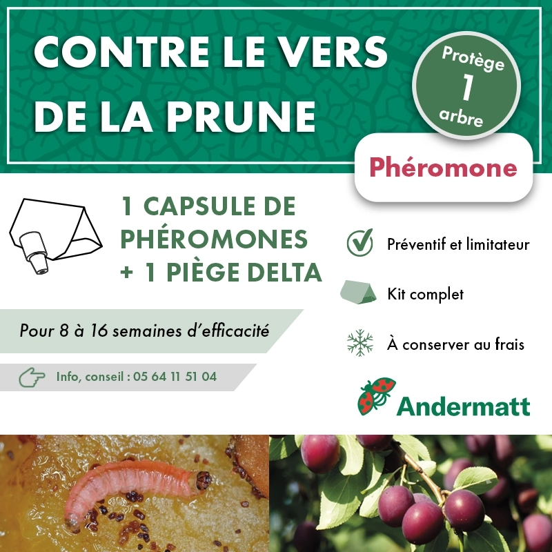 pheromone_carpocapse_des_prunes_andermatt