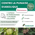 Kit phéromone Punaise Diabolique andermatt