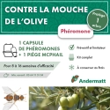 kit_pheromone_mouche_de_l'olive_andermatt