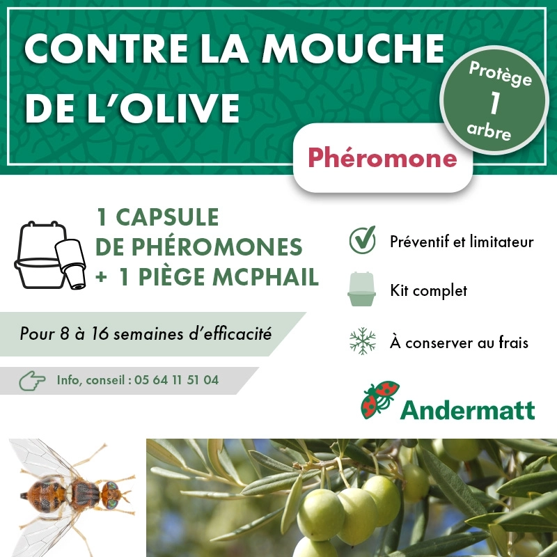 kit_pheromone_mouche_de_l'olive_andermatt