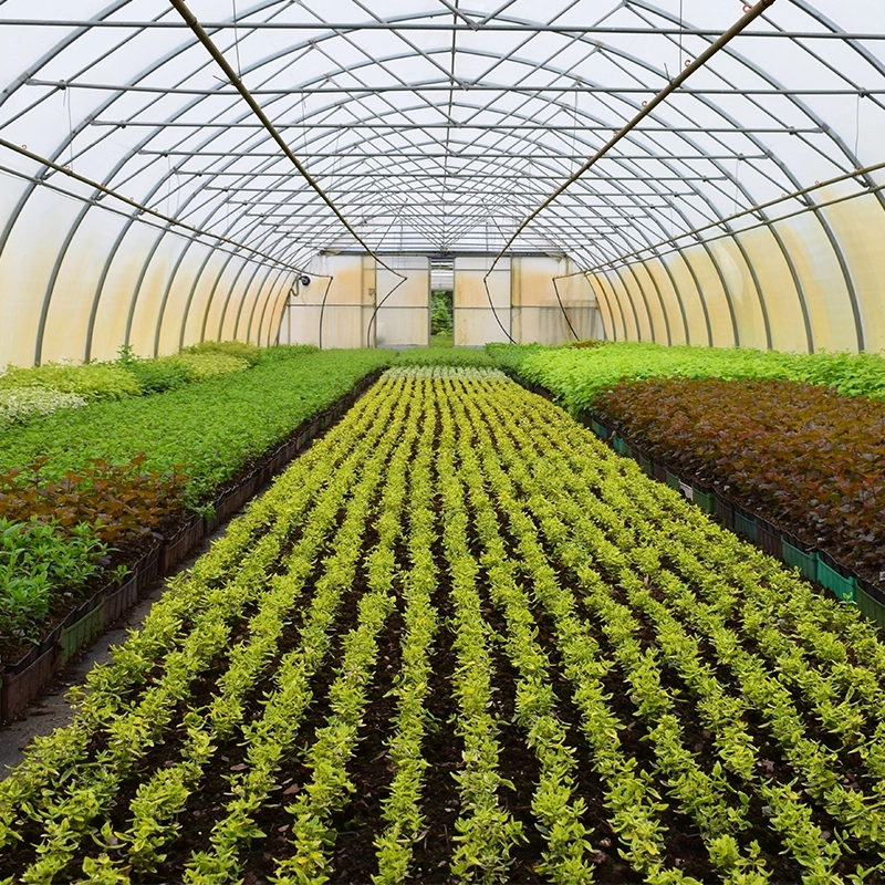 NeemAzal-T/S _ Andermatt_Horti/pépi