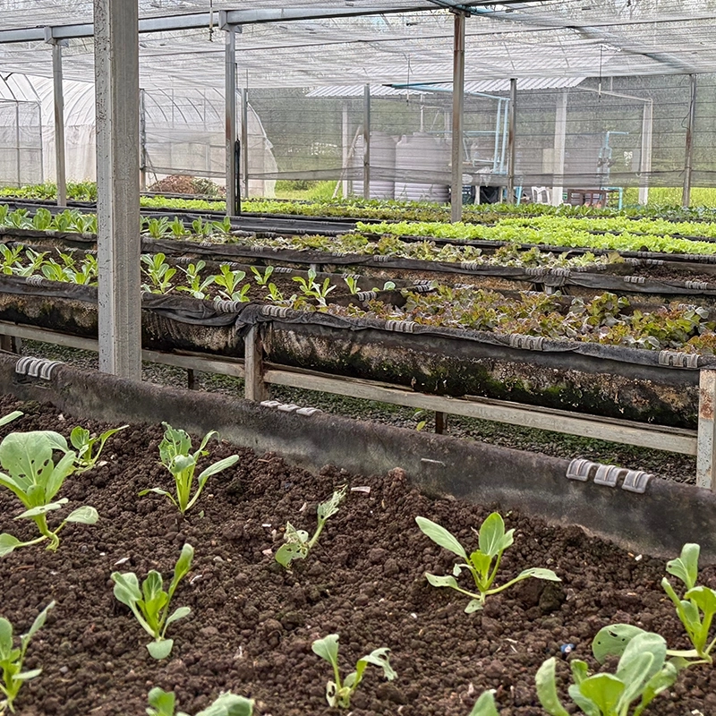 NeemAzal-T/S _ Andermatt_Horti/pépi