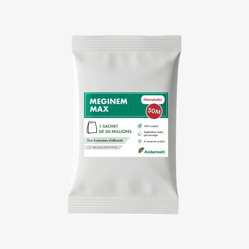 Nématodes Méginem max 50M Andermatt